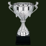 Серебряный призёр X Турнира профессиональных команд (Высшая лига)