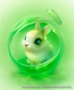 Зелёный Кролик
