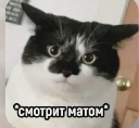 Элен Си