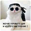 Аватар игрока