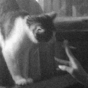 Аватар игрока