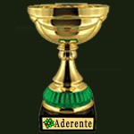 Победитель Кубка Aderente
