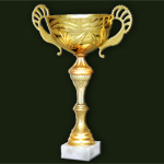 Золотой призёр VI Турнира профессиональных команд (Вторая лига)