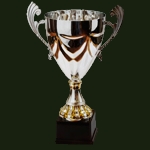 Серебряный призёр VI Турнира Профессиональных Команд (Третья лига)
